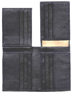 Js_p16.gif (49904 bytes)
