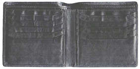Js_p2.gif (37496 bytes)