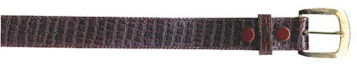 cl20.jpg (6906 bytes)